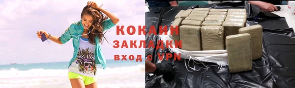 соль ск Алзамай