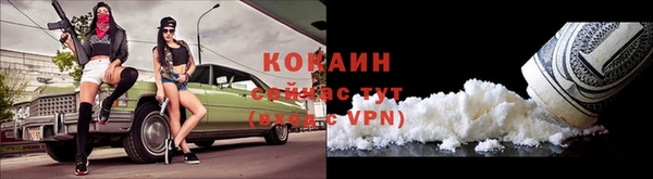 соль ск Алзамай