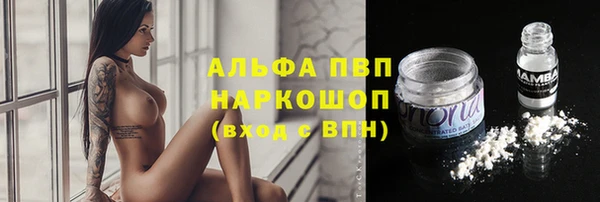соль ск Алзамай