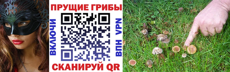 Псилоцибиновые грибы мухоморы  ОМГ ОМГ рабочий сайт  Тихвин 