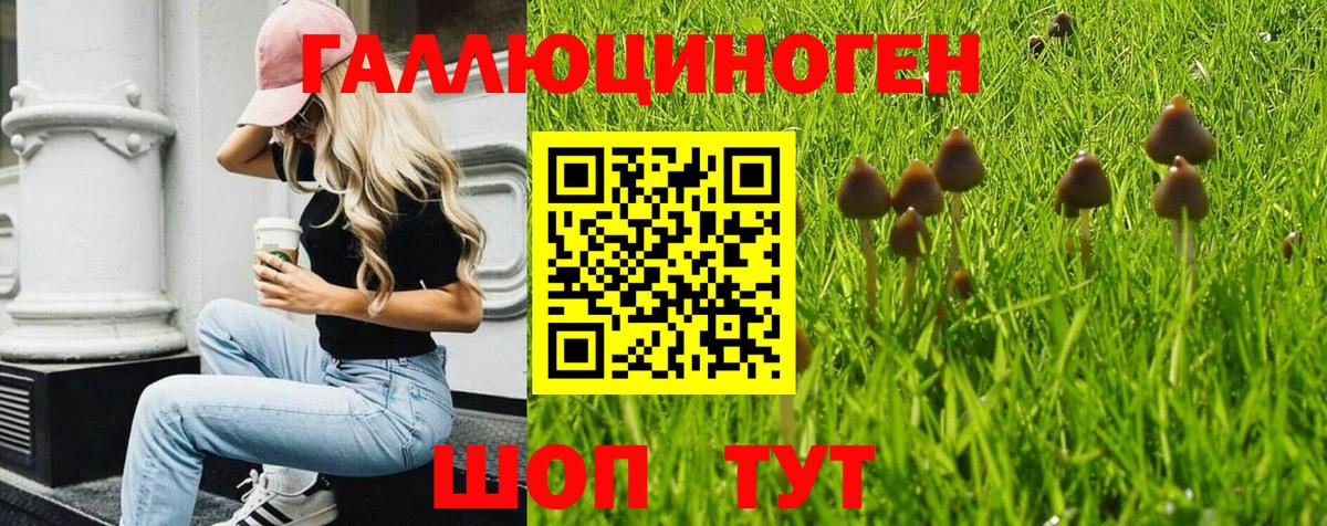 Галлюциногенные грибы GOLDEN TEACHER  Вход с VPN  Тихвин  Псилоцибиновые грибы Cubensis 